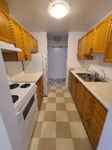 Spacious 2BR w/ Dishwasher - 96 North St (Unit 203 & 304) - Oct - Photo 10