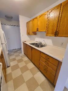 Spacious 2BR w/ Dishwasher - 96 North St (Unit 203 & 304) - Oct - Photo 15