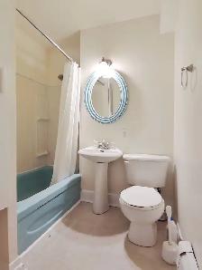 1 Bedroom / CentreTown / For Rent / Ottawa - Photo 6