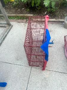 Pigeons equipment Available