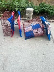 Pigeons equipment Available - Photo 2
