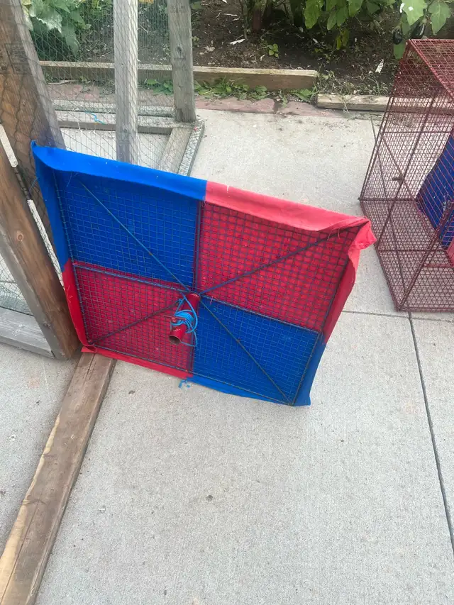 Pigeon Equipment Available