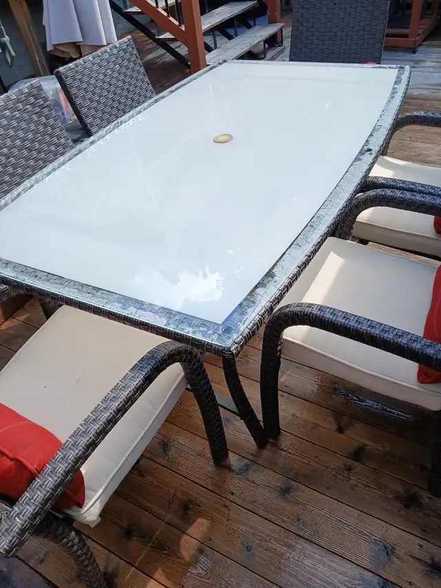 Table and 6 Chairs with Cushions and Outdoor Storage