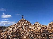hardwood firewood - Photo 3