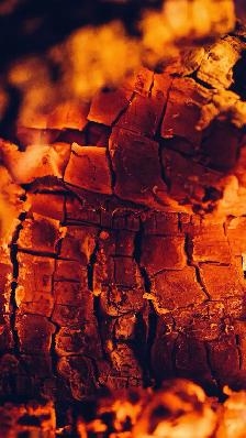 hardwood firewood - Photo 6