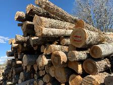 hardwood firewood - Photo 7