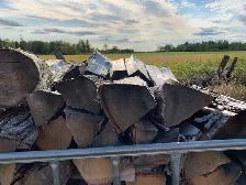 hardwood firewood - Photo 9