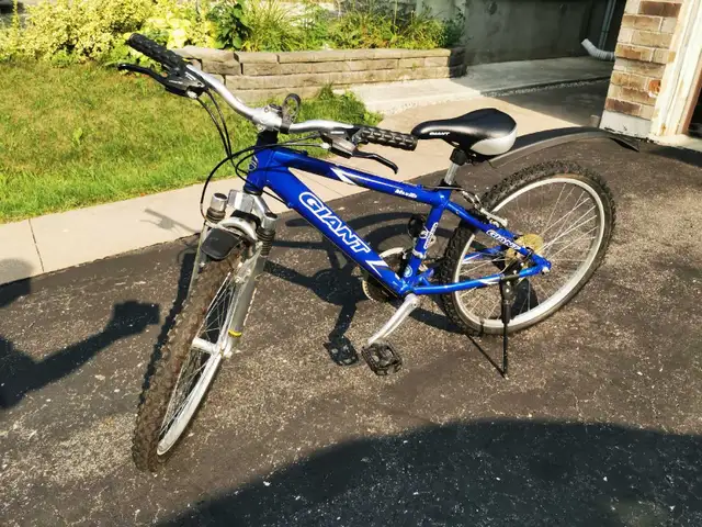 24 Inch Bicycle