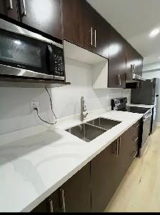 2-Bedroom Legal Walkout Ravine-view Basement Apartment - Photo 3