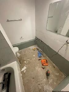 Experienced Painter & Renovation Worker Available - Photo 3