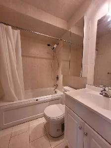 Basement Apartment for Rent - Photo 8