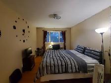 Close to Carleton U, bright room for rent - Photo 2