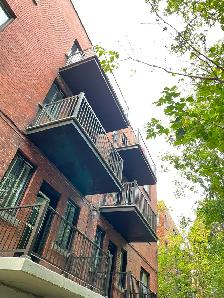 5 1/2 RENOVES METRO COTE-DES-NEIGES/COTE-SAINTE-CATHERINE - Photo 12