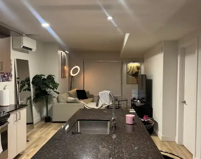 Appartement 3 1/2 a louer