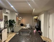 Appartement 3 1/2 a louer