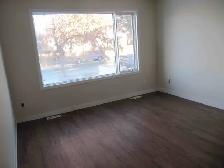 PET FRIENDLY 3 BDRM FOR RENT - Photo 3