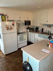 Country 2 bedroom home with beautiful sunroom for rent. - Photo 3