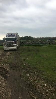 Wanted: Class 1A Driver - Photo 2