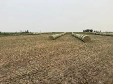 Attention acreage owners and hobby farmers! - Photo 3