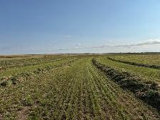 Attention acreage owners and hobby farmers! - Photo 5
