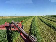 Attention acreage owners and hobby farmers! - Photo 8