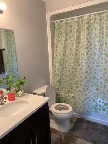 long term apartment rental - Photo 8