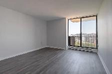 Spring Garden - Bachelor available at 5770 Spring Garden Road, H - Photo 7