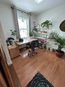 Beau local à louer pour professionnel - Photo 4