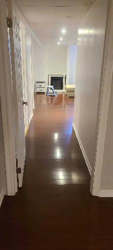 1 Bedroom Basement Apartment for Rent - Photo 5