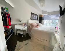 Sep 1st,Private Furnished Room, Downtown King/John, Females Only - Photo 4