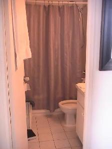 4 1/2 Vieux Longueuil style condo à louer - Béton - Garage - Photo 8
