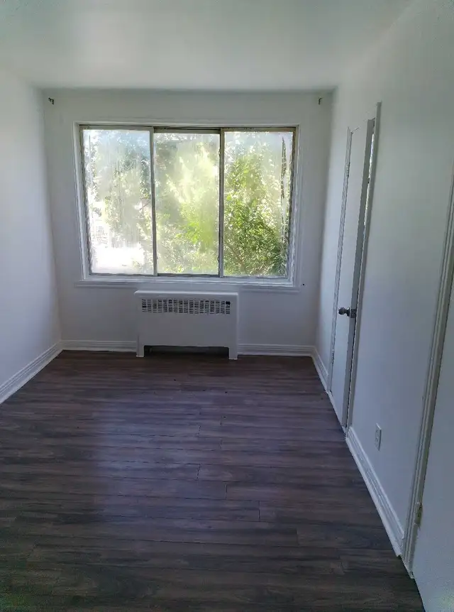 bachelor 1 1/2 apartment for rent