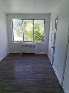 bachelor 1 1/2 apartment for rent