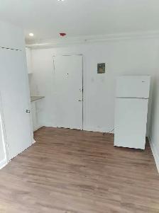 bachelor 1 1/2 apartment for rent - Photo 3