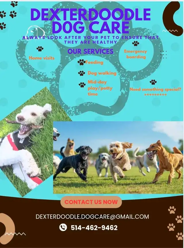 DEXTERDOODLE DOG CARE