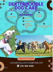 DEXTERDOODLE DOG CARE