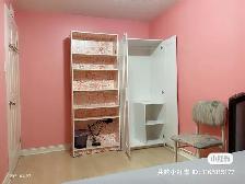 Chinatown center: A room to rent - Photo 3