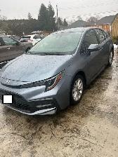 2020 Toyota Corolla SE - Photo 2