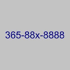 Luxury VIP 416 Phone Numbers 365 289 905