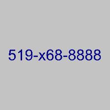 Local 519 226 Memorable VIP 416 Phone Numbers