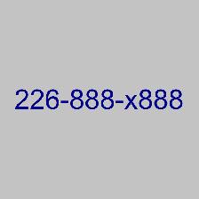 226 519 548 VIP Business 416 Phone Numbers