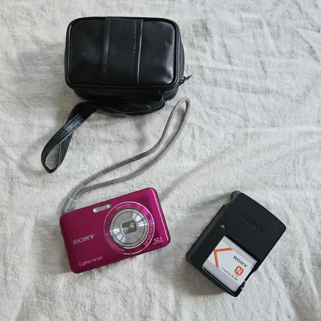 Sony Cyber-shot DSC-W310 Digital Camera