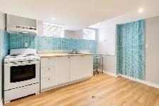 Whole Basement for Rent near Keel & Lawrence - Photo 3