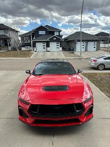 2024 MUSTANG GT PREMIUM - Photo 2