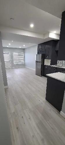 2 Bedroom legal secondary suite Walkout Basement in Cornerstone - Photo 4