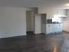 Appartement 3 1/2
