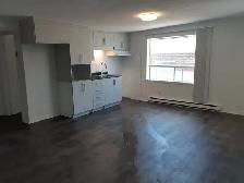 Appartement 3 1/2 - Photo 5
