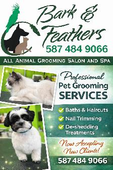 Dog and Cat Grooming! Appts available