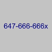 Professional Easy Memorable 416 Toronto 647 Phone Line