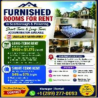 Furnished Room for Rent in Scarborough (Daily/Weekly Payment)